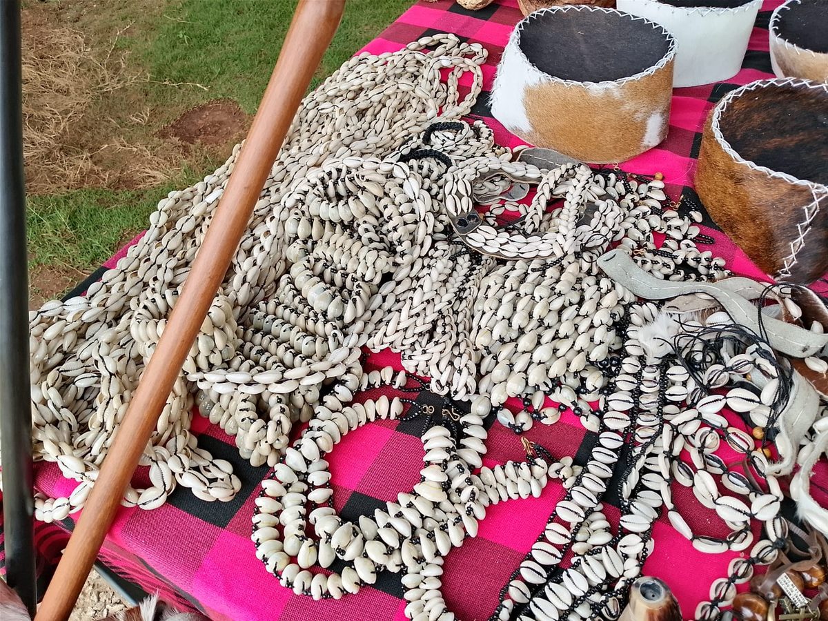 Cowrie Shell Jewelry