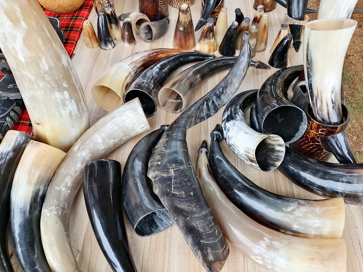 Raw Horns
